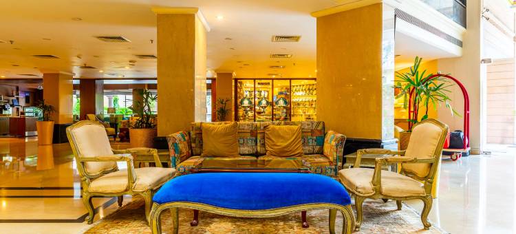 齐普尔金色郁金香酒店(Golden Tulip Jaipur)图片