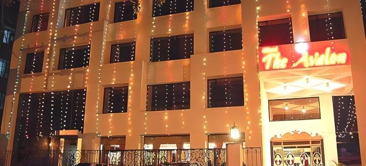 阿沃伦酒店(The Avalon, Durg)图片
