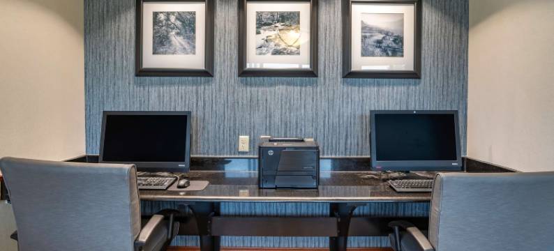 舒适套房酒店-纽华克威尔明顿(Comfort Inn & Suites Newark - Wilmington)图片