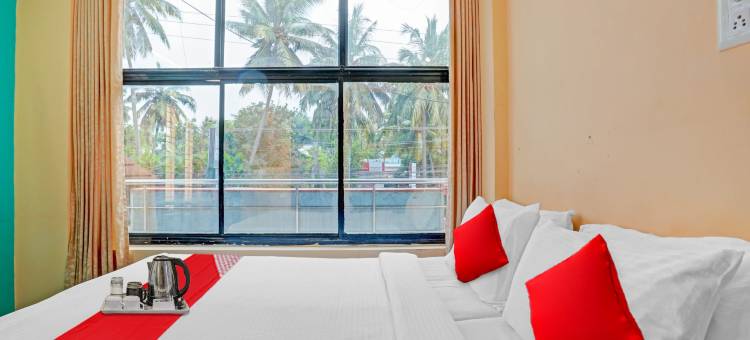 Spot on the New View Regency图片