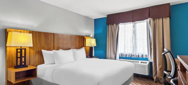 品质酒店及套房机场北 - 石橡树(Quality Inn & Suites Airport North - Stone Oak)图片