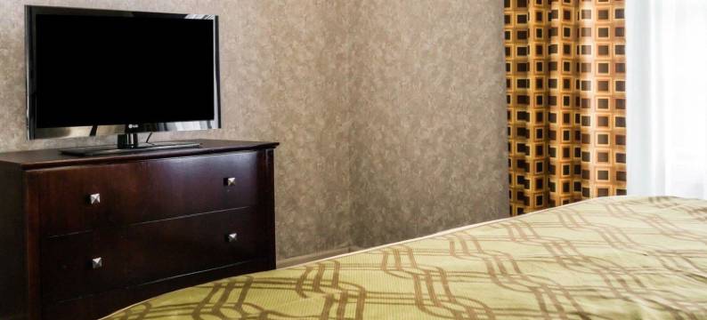 伊康套房旅馆(Econo Lodge & Suites)图片