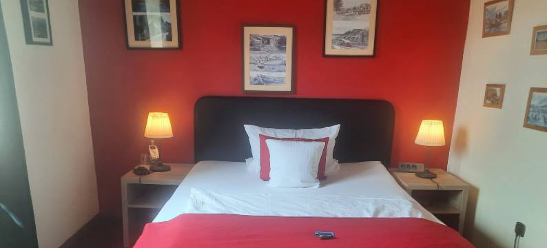 亨布拉斯酒店(Henblas Hotel)图片