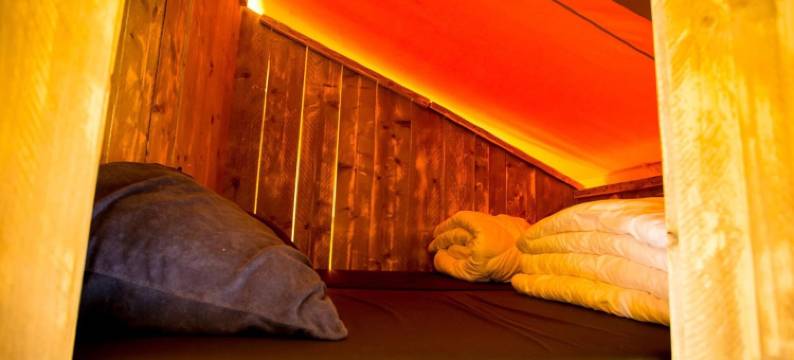 临近朗斯和杜伦斯丘的舒适帐篷小屋(Apartment in Netherlands Near Nature Trails)图片