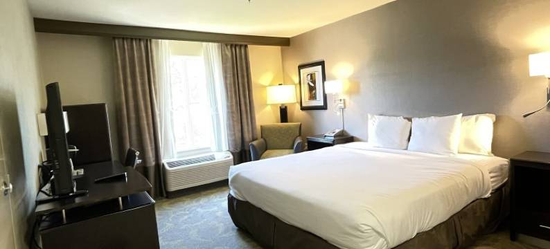 圣卡洛斯乡村旅馆&套房(Country Inn & Suites by Radisson, San Carlos, CA)图片