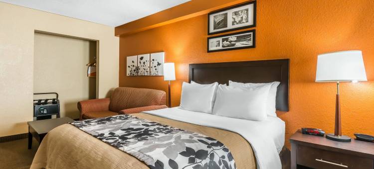 奥卡拉/贝尔维尤舒眠套房酒店(Sleep Inn & Suites Ocala)图片