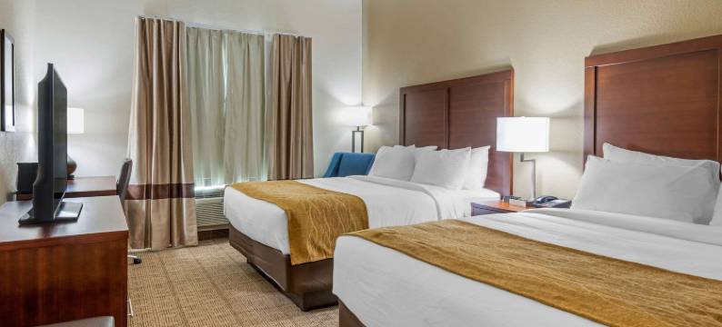 舒适套房酒店(Comfort Inn & Suites)图片
