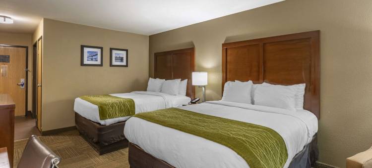 柯林斯威尔舒适酒店 - 近圣路易斯(Comfort Inn Collinsville Near St Louis)图片