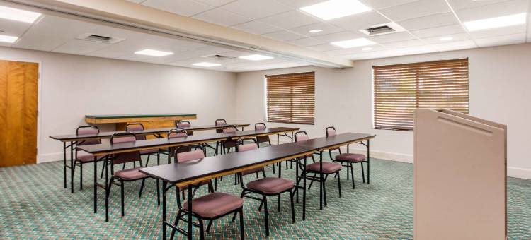 凯艺套房酒店(Quality Inn & Suites)图片