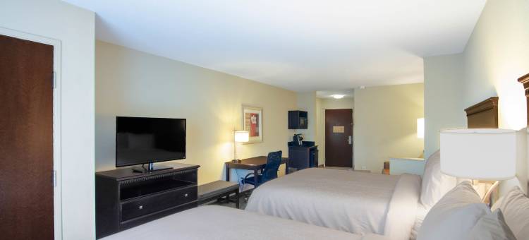 南阿拉巴马大学区舒适套房酒店(Comfort Suites Mobile-South Alabama University Area)图片