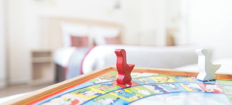 日冕罗迪尔酒店(Hotel Corona Rodier)图片