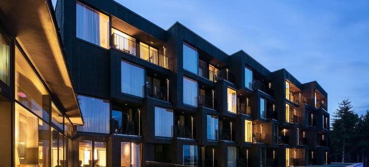 福里特兹拉特百德酒店(Fritz Lauterbad)图片