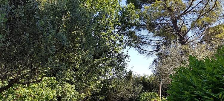 玛诺依别墅酒店(Villa Manoe)图片