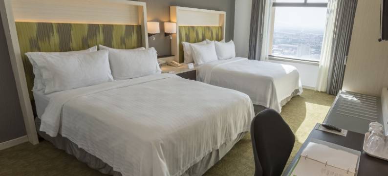 Holiday Inn 奎雷塔罗ZONA迪亚曼泰(Holiday Inn QUERETARO ZONA DIAMANTE by IHG)图片