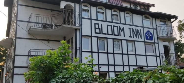 布鲁姆旅馆(Bloom Inn)图片