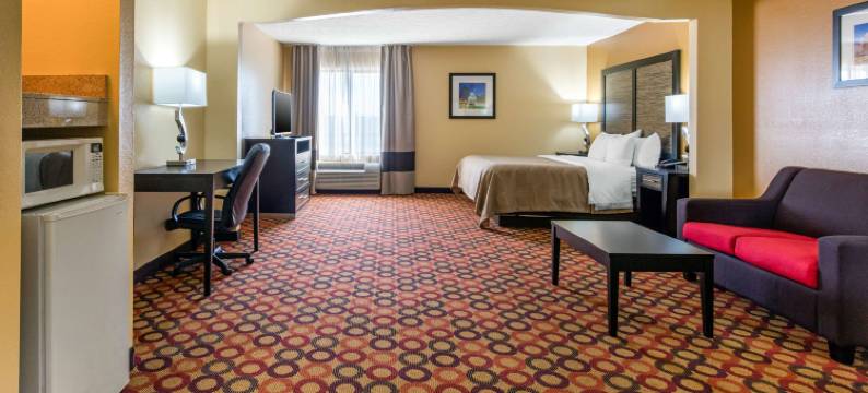 蒙哥马利东卡迈克尔路凯艺套房酒店(Quality Inn & Suites Montgomery East Carmichael Rd)图片