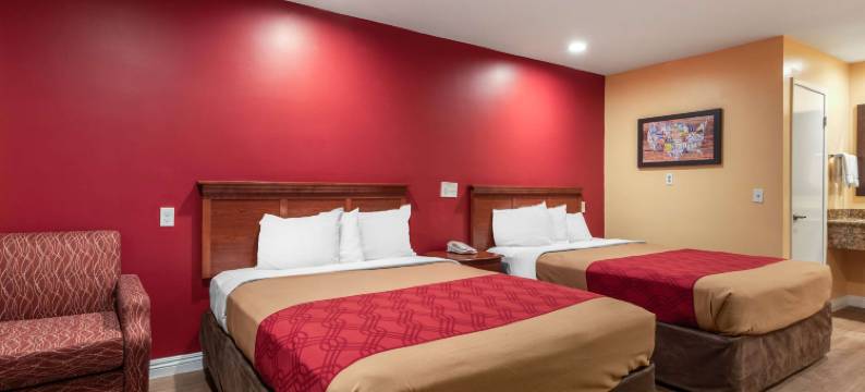 卡森-洛杉矶南罗德威旅馆(Rodeway Inn Carson - Los Angeles South)图片