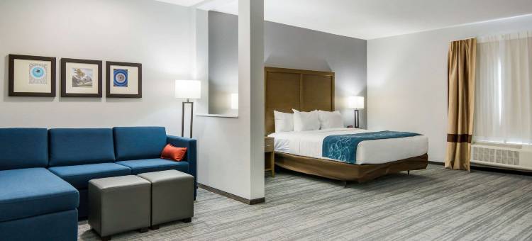 迪索托-达拉斯南舒适套房酒店(Comfort Suites DeSoto Dallas South)图片