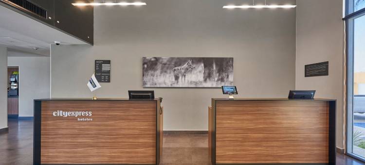 托卢卡万豪城市快捷套房酒店(City Express Suites by Marriott Toluca)图片