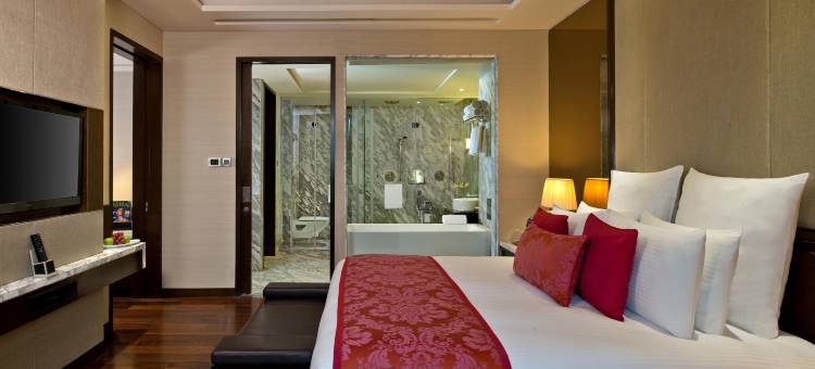 齐普尔丽笙酒店(Radisson Blu Jaipur)图片