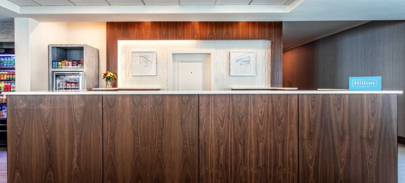 坦帕西北奥尔兹马希尔顿花园酒店(Hilton Garden Inn Tampa Northwest/Oldsmar)图片