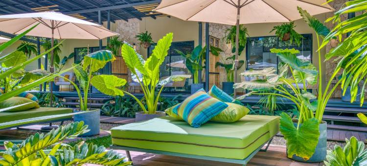 埃克索蒂科海滩酒店(Exôtico Beach & Rooms)图片