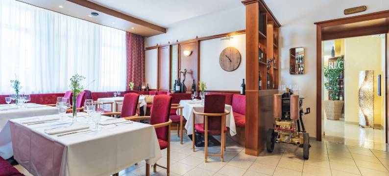 Das Blaufränkisch酒店和餐厅(Das Blaufränkisch Weinhotel & Restaurant)图片