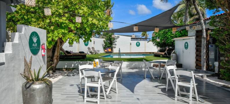 ALOE 民宿(Aloe B&B)图片