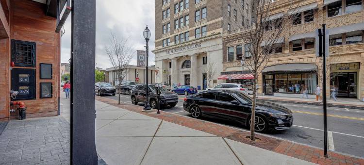 豪华220(Luxe 220)图片