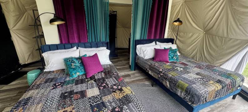 梦想家圆顶屋(DayDreamer Domes)图片