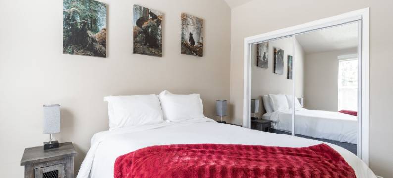 小熊宝宝(Baby Bear)图片