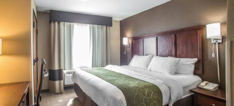 舒适套房酒店-哥伦比亚大学城(Comfort Suites Columbia - University Area)图片