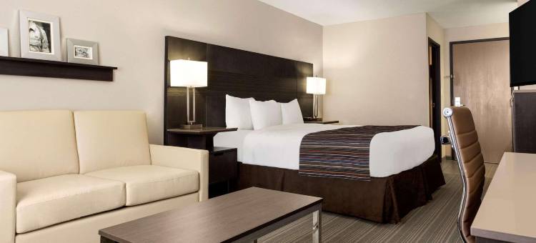 德州(San Antonio)丽怡套房酒店Lackland AFB(Country Inn & Suites by Radisson, Lackland AFB (San Antonio), TX)图片