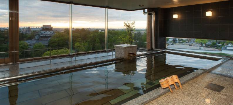 冈崎新​​大酒店(Okazaki New Grand Hotel)图片