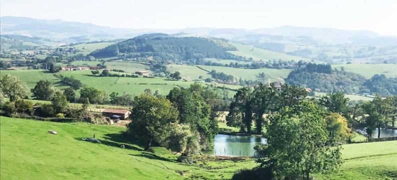 金无数民宿(Chambre d'hôtes les Myriades d'Or)图片