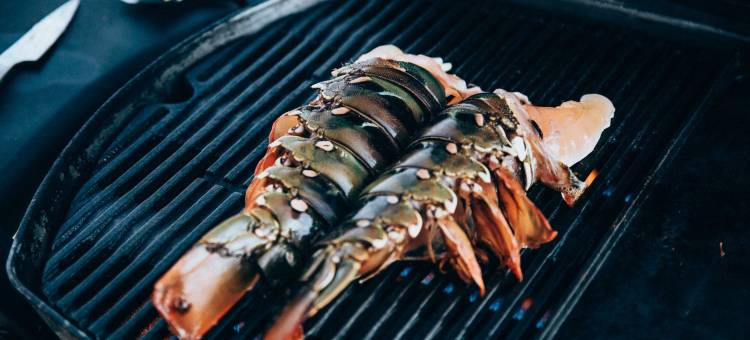 鲭鱼岛度假村(Mackerel Islands)图片