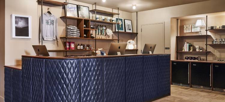 威廉斯堡霍克斯顿酒店(The Hoxton, Williamsburg)图片