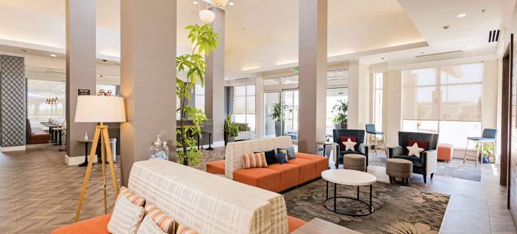 坦普尔医学中心希尔顿花园酒店(Hilton Garden Inn Temple Medical Center)图片