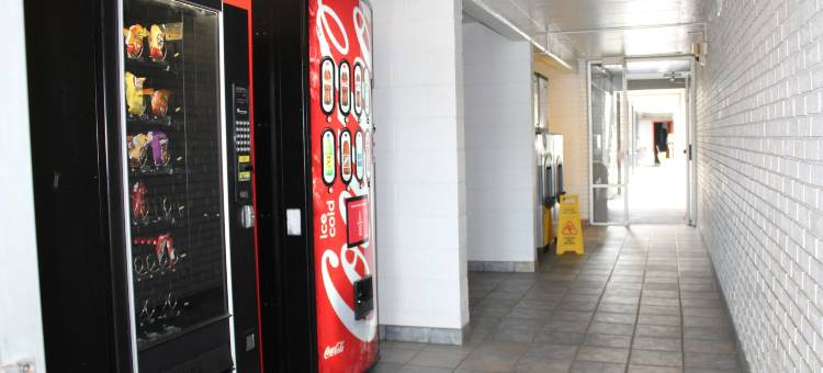 帕迪尤卡西 I-24 伊克诺郊外小屋(Econo Lodge Paducah West I-24)图片