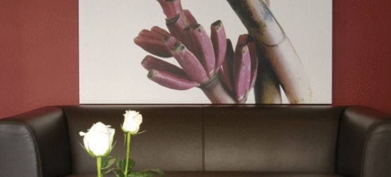 行政酒店(Executive Hotel)图片