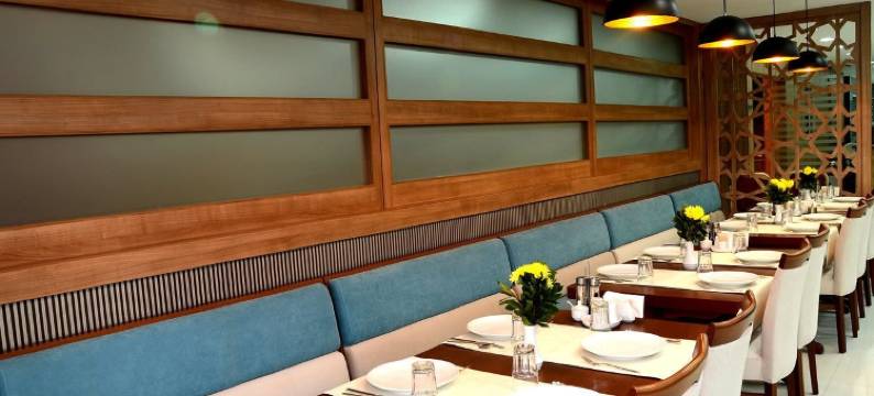 茨纳尔帕克酒店(Çınarpark Hotel)图片