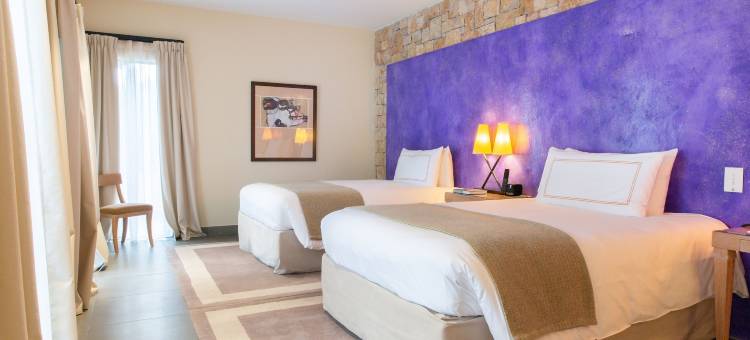 特雷布兰克Spa高尔夫度假酒店(Terre Blanche Hotel Spa Golf Resort)图片