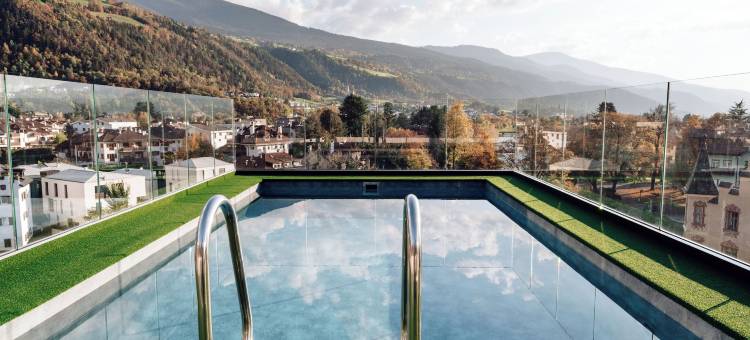 多米尼克高山市养生酒店(Dominik Alpine City Wellness Hotel Brixen - Adults Only)图片
