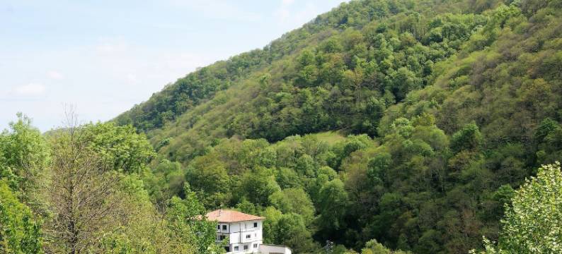 蒙塔纳门迪欧拉公寓酒店(Apartamentos de Montaña Mendiola - Casa Ferran-Casa Karrikaburu)图片