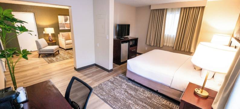 迈哈纳-国际大道, 璀蔓臻选温德姆酒店(Mai Hana Hotel- Intl Drive, Trademark Collection by Wyndham)图片