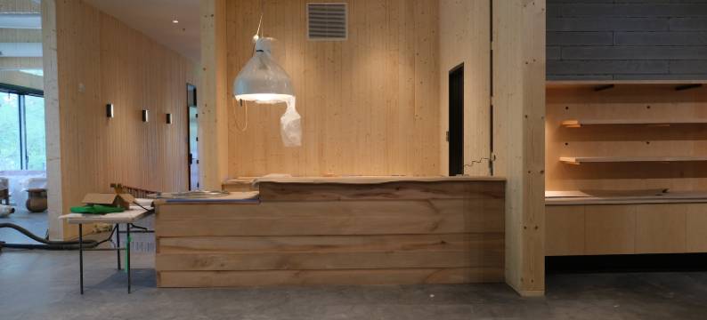 自动露营阿什维尔(AutoCamp Asheville)图片