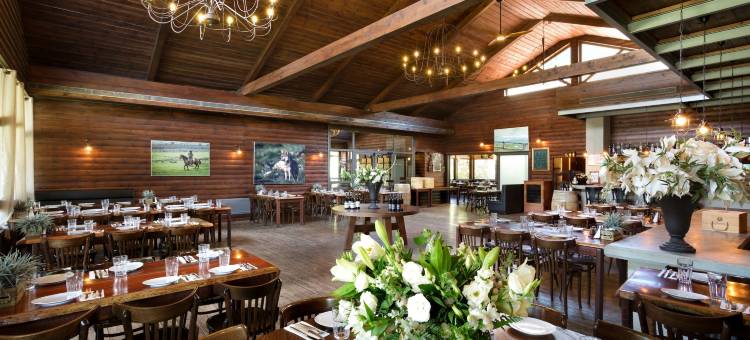 梅伦戈兰度假村(Merom Golan Resort)图片