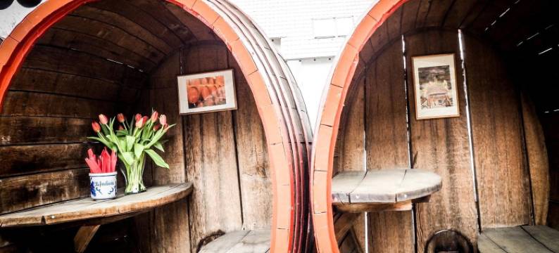 库弗尔辛克酒店(Hotel Küferschänke)图片