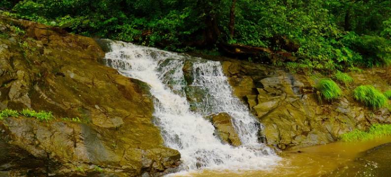 玛纳斯度假村 - 佩丁动物园(Manas Resort with Petting Zoo)图片