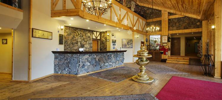 帕兰多肯德德曼度假村(Dedeman Palandoken Resort Hotel)图片